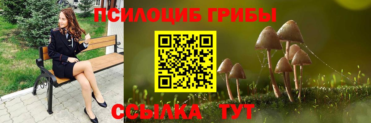 Псилоцибиновые грибы Psilocybine cubensis Добрянка